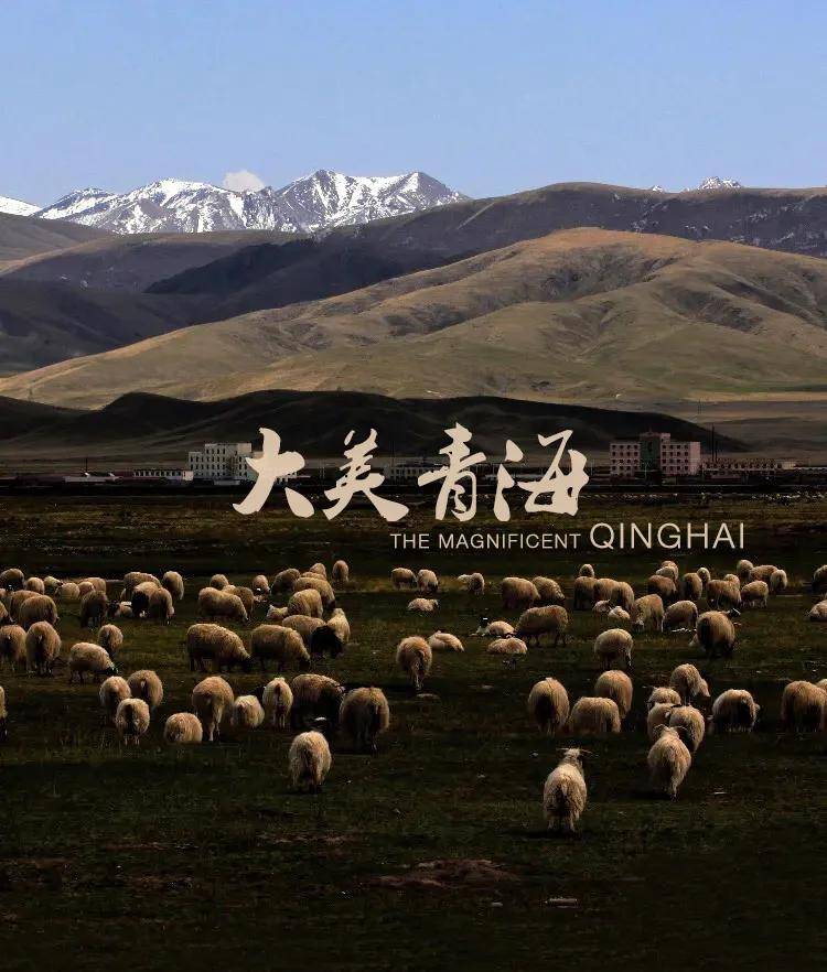 揭秘中泽纯境最新消息，探寻秘境之旅，带你走进自然的怀抱