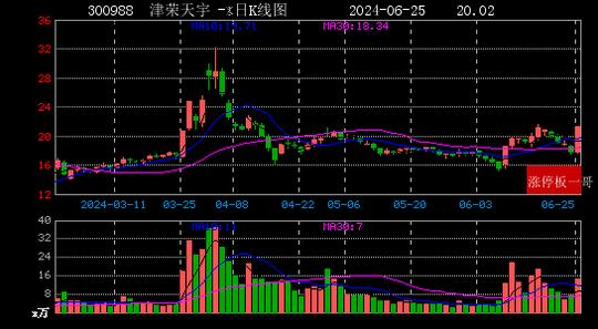 2024年新会新开公路改线最新动态及影响与前景展望