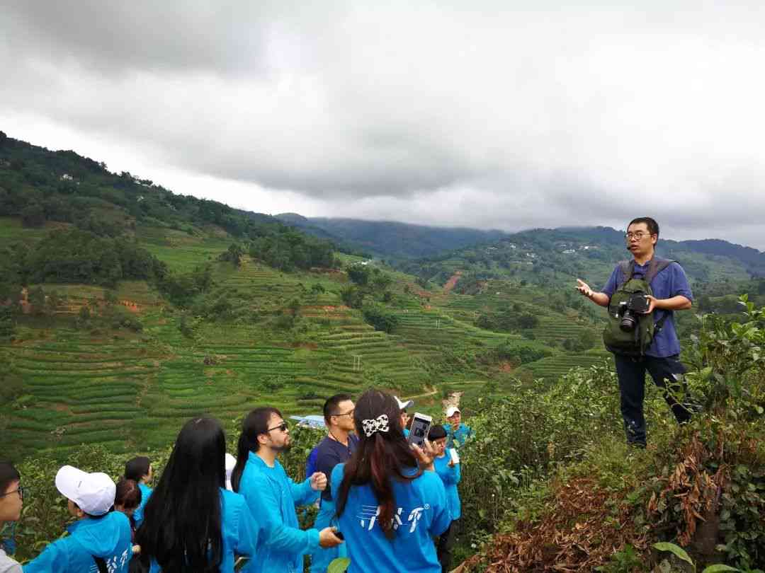 何明春与金胜村的奇遇，探寻历史最新消息与自然美景的心灵之旅